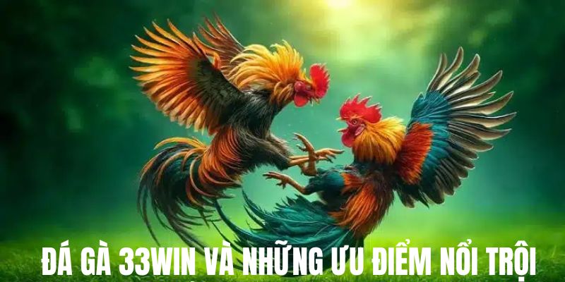 Thế mạnh độc quyền tại sảnh cược chọi gà 