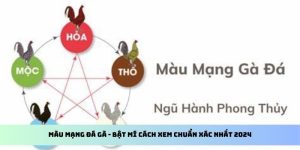 Màu Mạng Đá Gà - Bật Mí Cách Xem Chuẩn Xác Nhất 2024